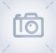 Дренажный насос ARTSUB Q250